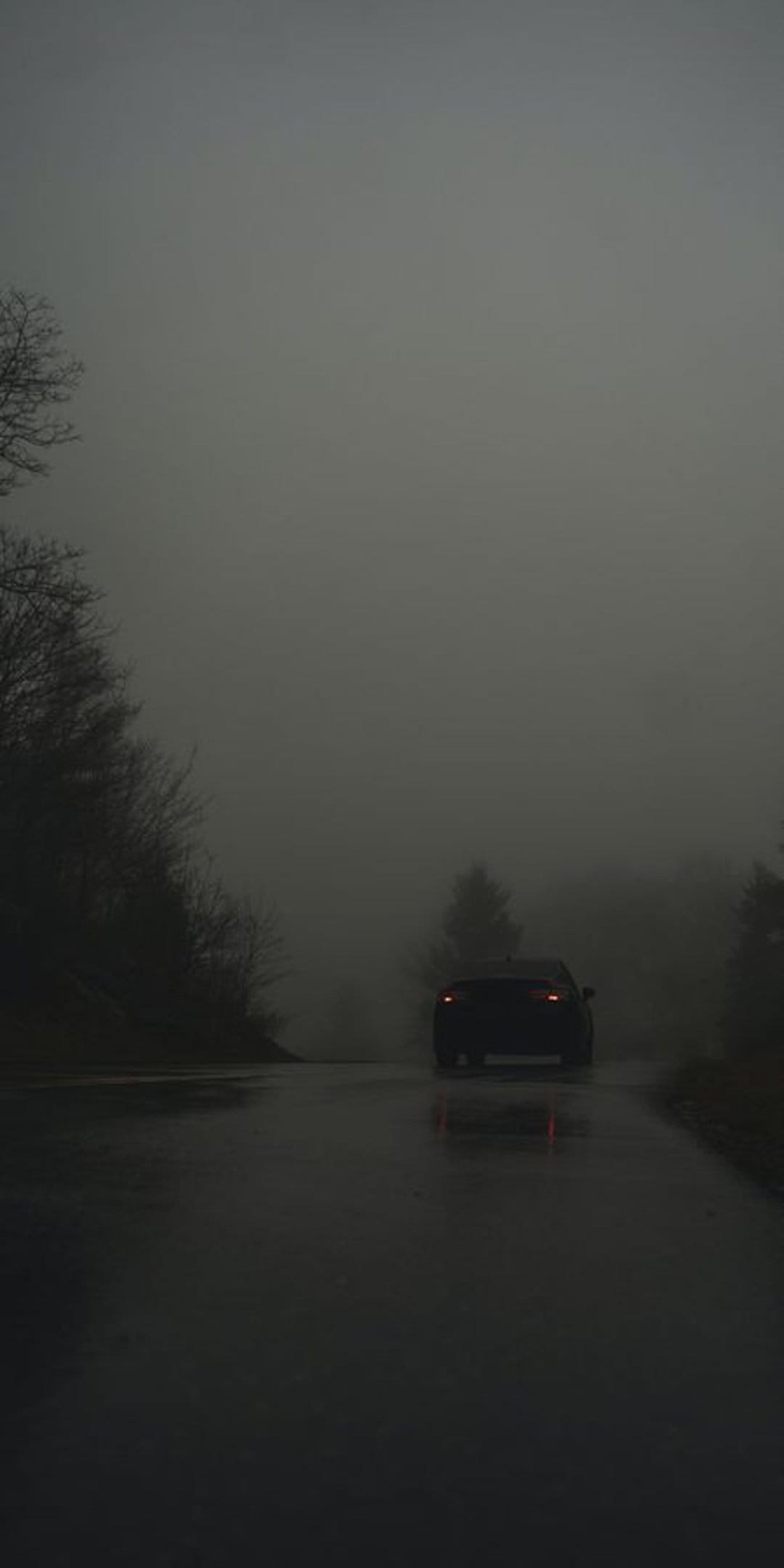 Red taillights of a car driving on a wet road into thick white fog flanked by dark silhouettes of trees.