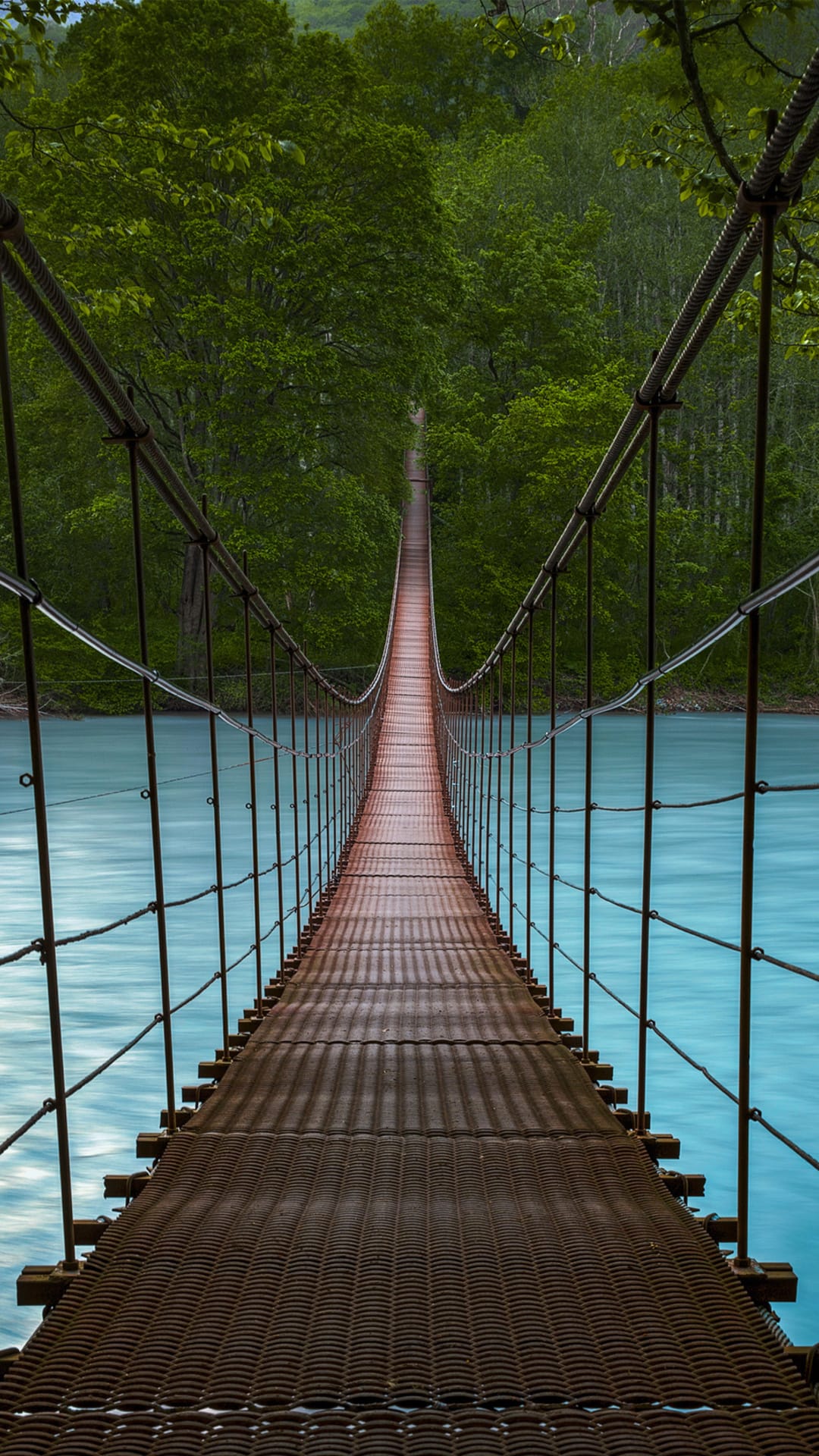 Suspension bridge spans a turquoise river surrounded by dense green forest foliage and a narrow wooden walkway.