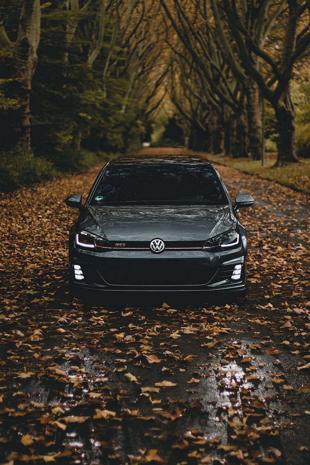 Volkswagen GTI with bright headlights on a wet road covered in autumn leaves under a canopy of bare trees.