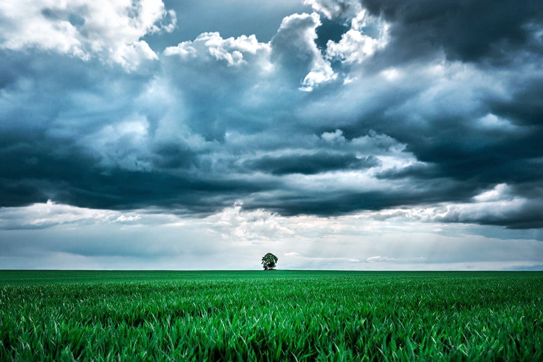 Lone tree in a bright green pasture under a heavy, dark gray sky with swirling storm clouds and a distant horizon.