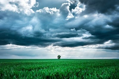 field,tree,clouds,sky,free wallpaper,sky background,4k wallpaper,desktop backgrounds,grass,4k wallpaper,weather,horizon,cloudy,wallpaper hd,full hd wallpaper,gloomy,wallpaper 4k,sunbeam,sunlight,meadow