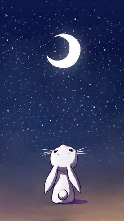 Bunny night,black,bunny,cartoon,cute network,night,stars,themes, universe