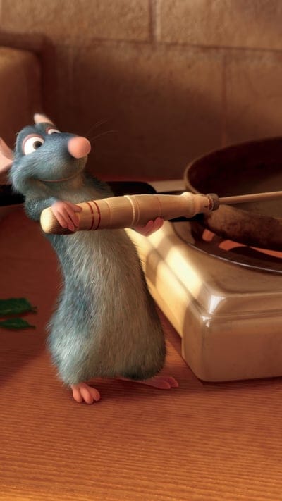 Ratatouille, cartoons