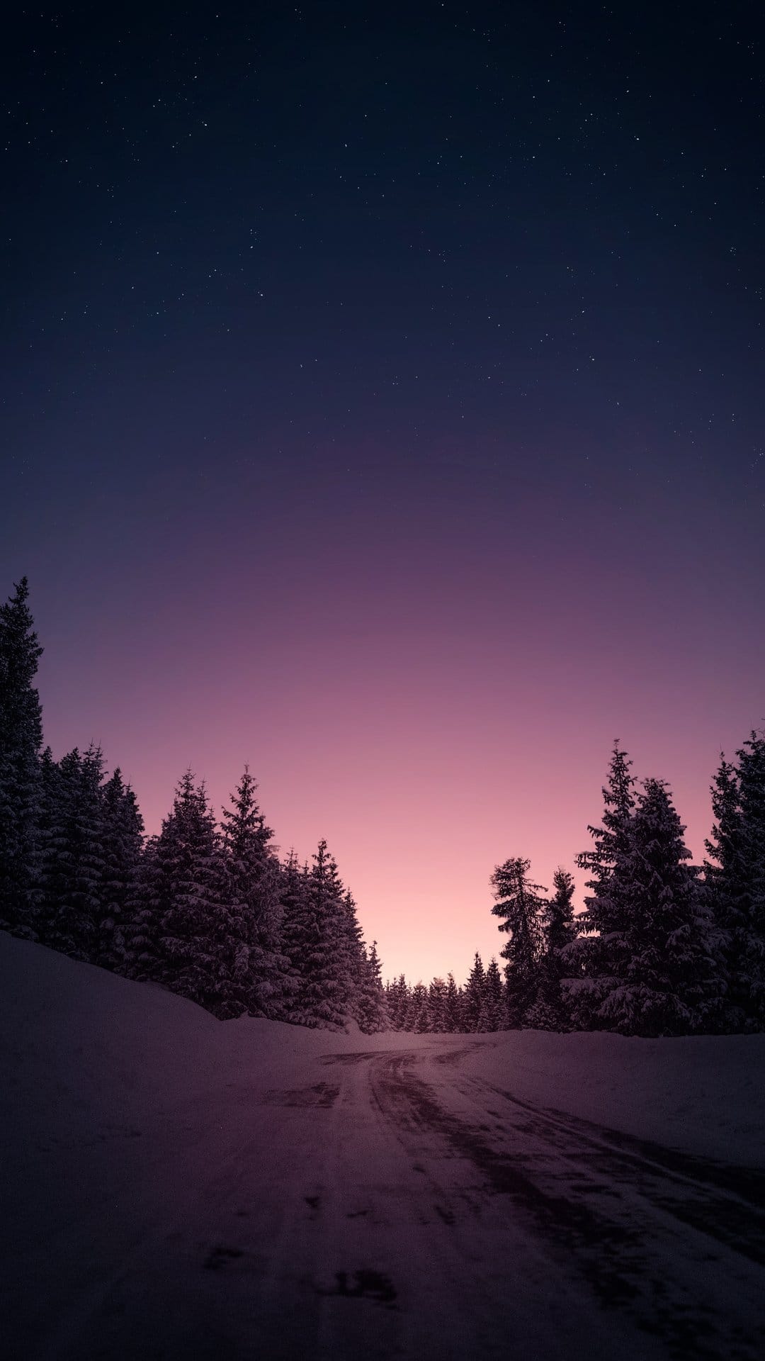 Snow-covered forest road leading toward a purple and pink twilight sky filled with bright shimmering stars.