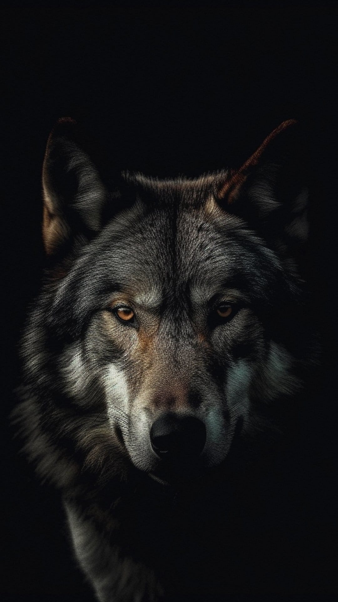Wolf face with glowing amber eyes and detailed grey fur emerges from a dark black background in sharp focus.