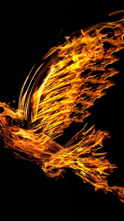 Bird Fire And Water, bird, fire, artist