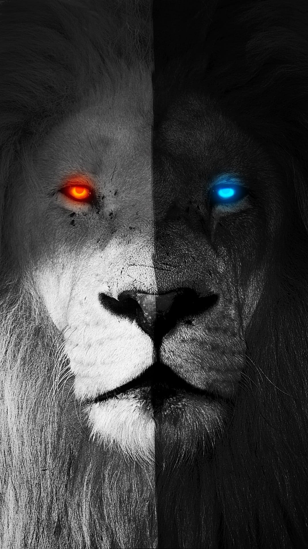 Lion portrait with a split face design featuring one glowing orange eye and one bright blue eye in monochrome.