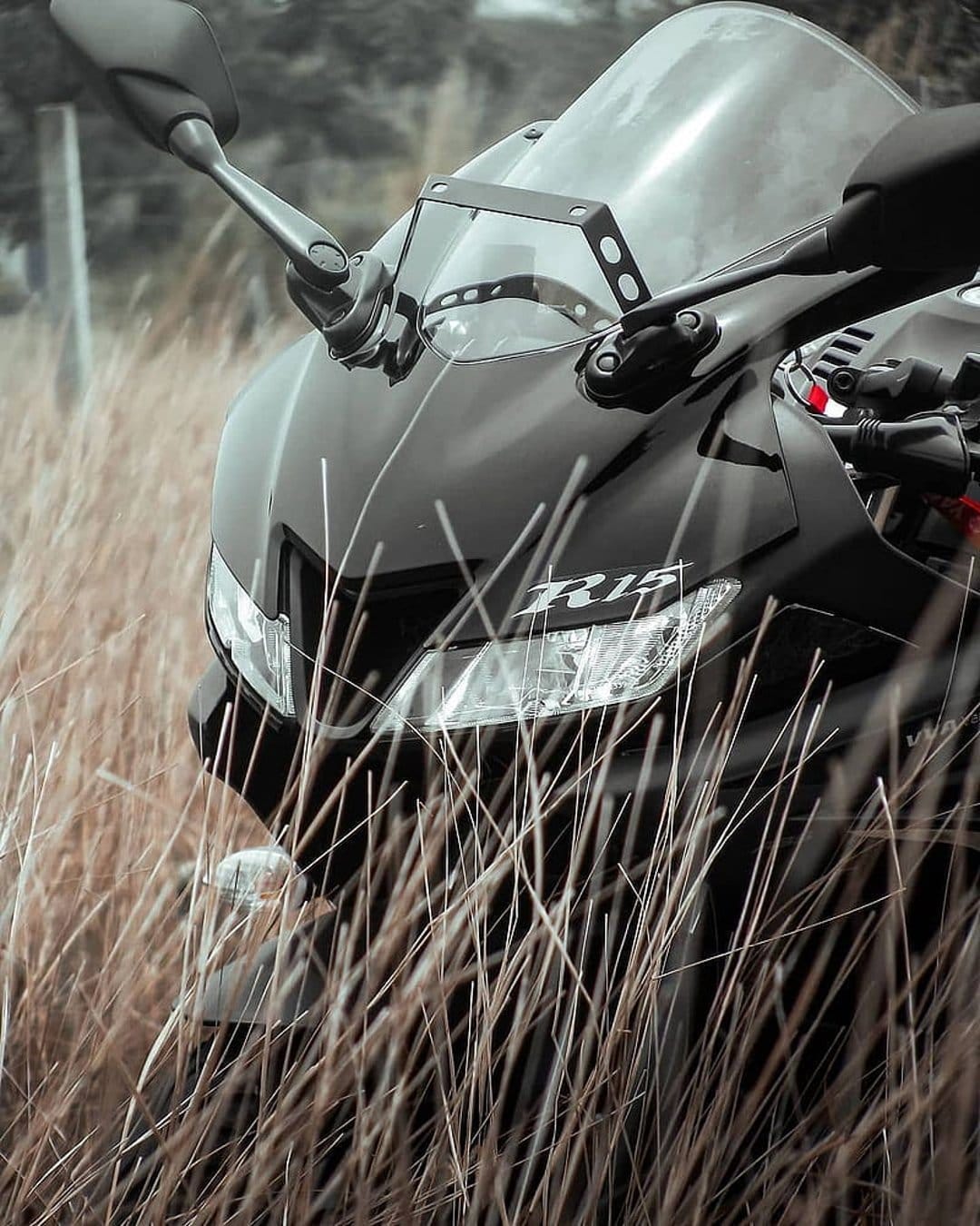 Yamaha R15 motorcycle front fairing and headlights partially hidden by tall, dry grass in a moody setting.