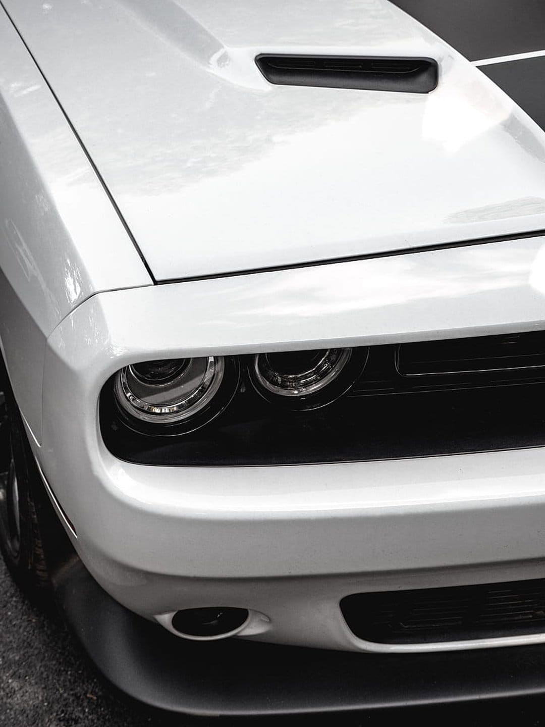 White Dodge Challenger front-end features black racing stripes, projector headlights, and a low chin spoiler.