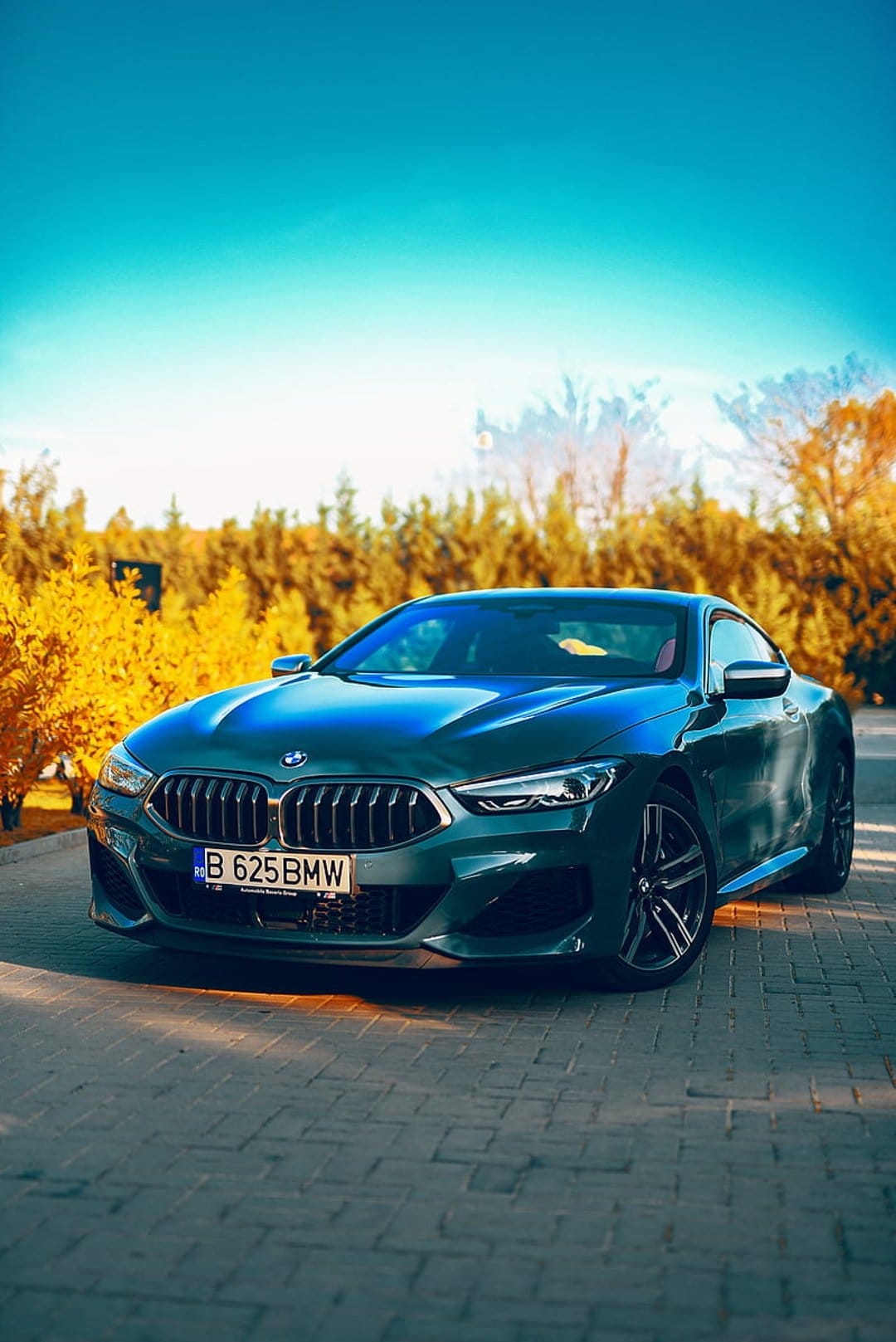 Dark green BMW 8 Series coupe parked on a brick driveway surrounded by vibrant yellow and orange fall foliage.