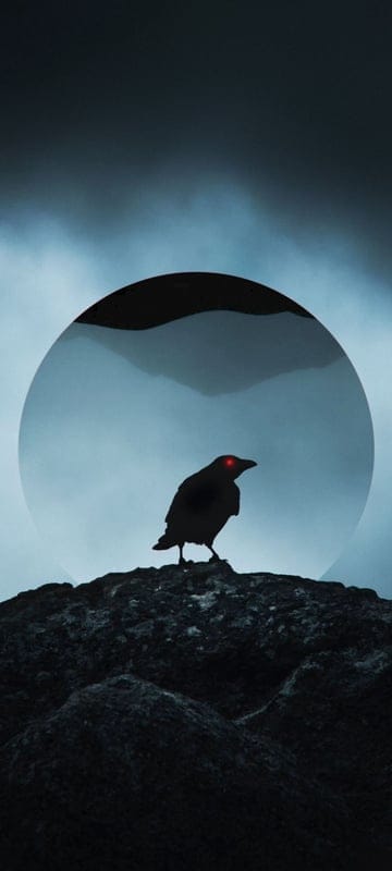 raven,bird,circle,rocks,art
