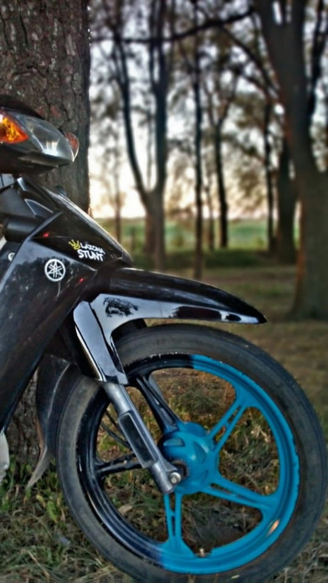 Black motorcycle tire with a bright blue rim parked by a tree trunk in a soft-focus twilight forest setting.