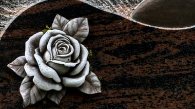 wallpaper,cool backgrounds,windows wallpaper,flower background,hd wallpaper,wallpaper hd,free background,wallpaper 4k,mac wallpaper,full hd wallpaper,4k wallpaper,laptop wallpaper,floral background,nature,free wallpaper,beautiful wallpaper,desktop backgro