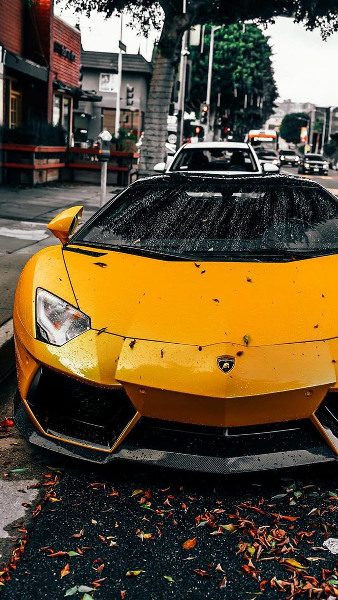 Yellow Lamborghini Aventador parked on a wet street with fallen leaves and raindrops on its carbon fiber body.