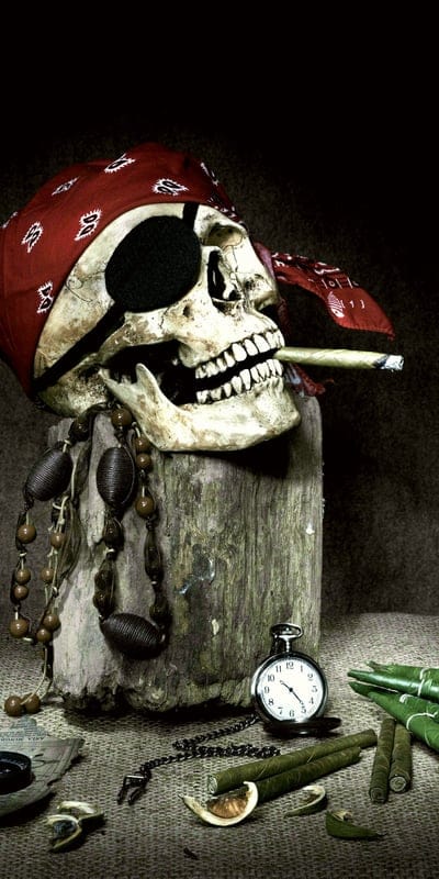 pirate skull,hashish,smoke,smoking