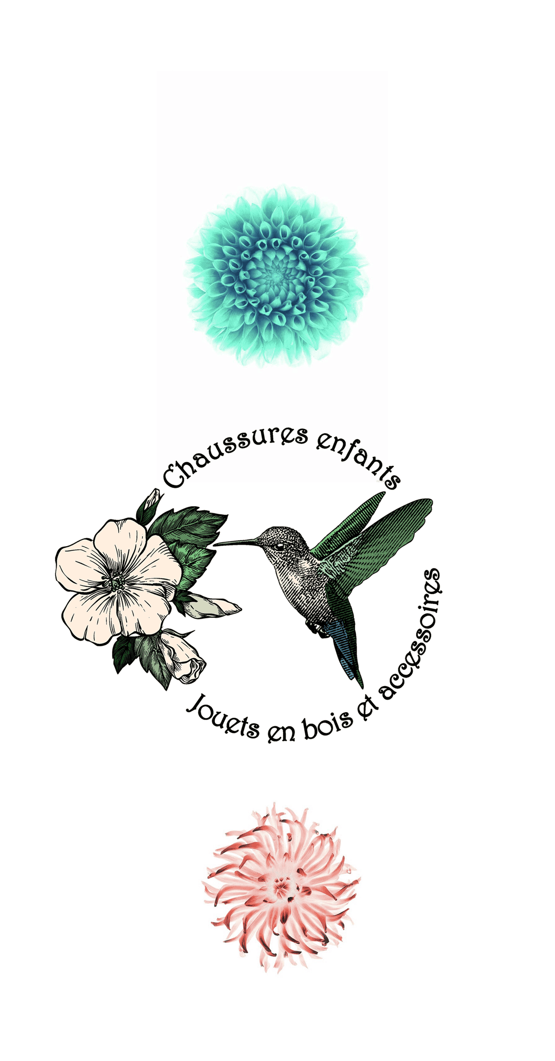Hummingbird flying between a large teal dahlia and a pink chrysanthemum against a soft, clean background.