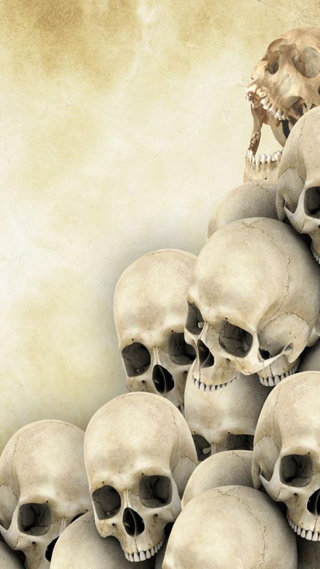 Human skulls stacked on aged parchment with realistic bone textures and deep hollow sockets in a sepia-toned scene.