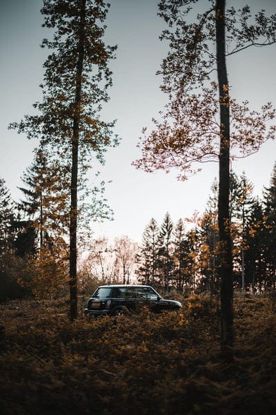 mini cooper, mini, car, black, trees, mobile wallpaper, android wallpaper, iPhone wallpaper, phone wallpaper