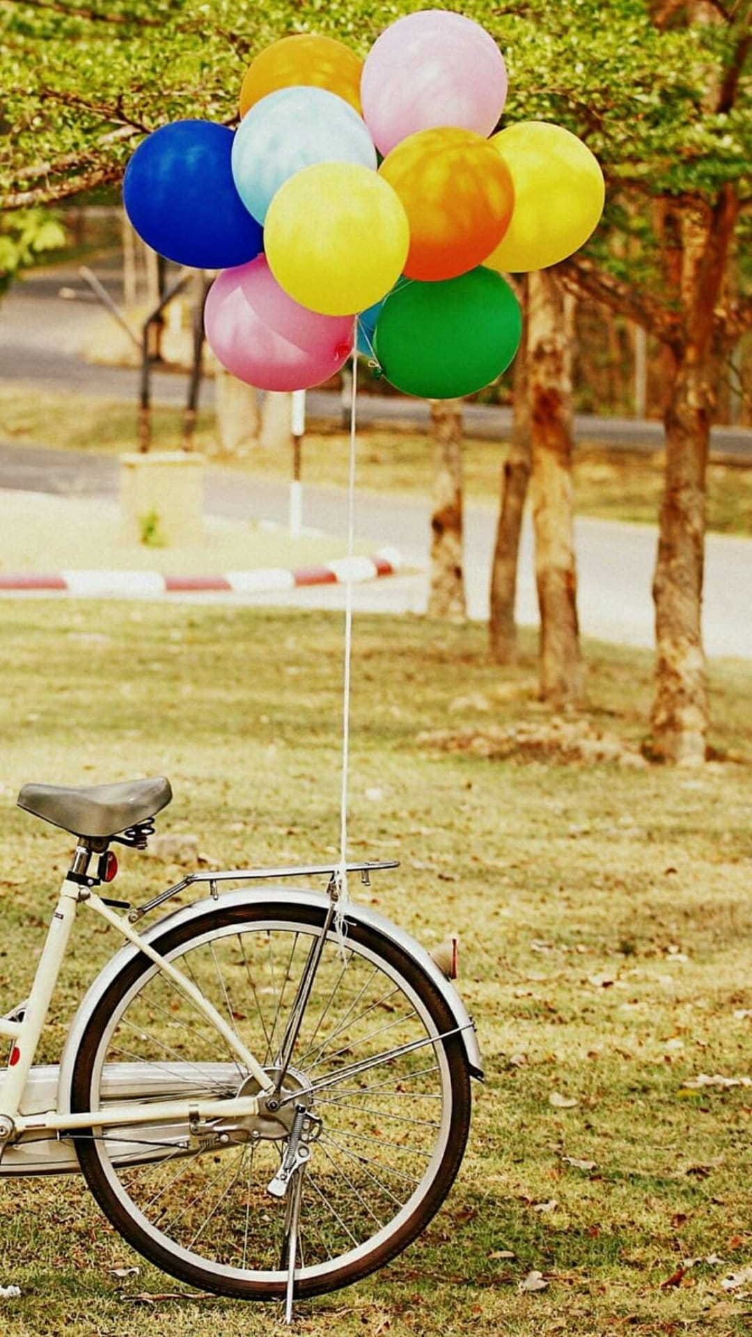 Colorful balloons float above the rear wheel of a vintage bicycle resting on green grass in a sunlit park.