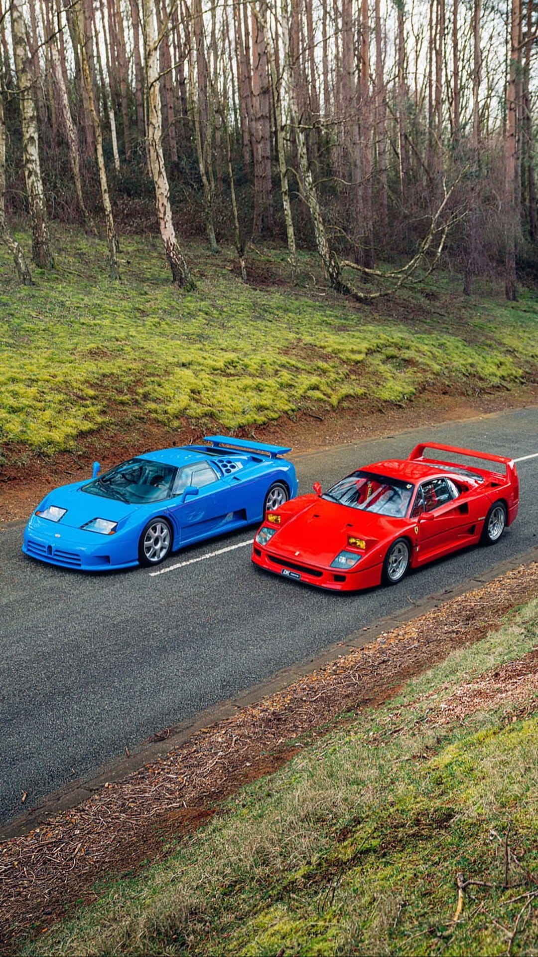 Blue Bugatti EB110 and red Ferrari F40 parked on an asphalt road curving through a dense green forest.