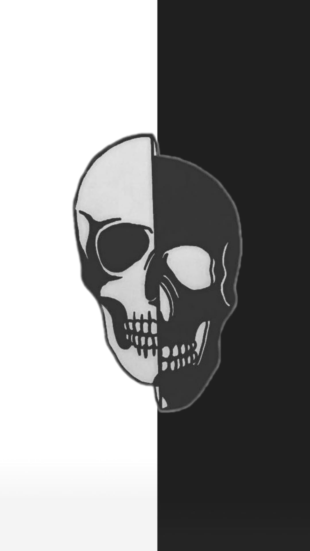 Human skull divided vertically with opposing black and white tones creating a symmetrical yin yang balance.