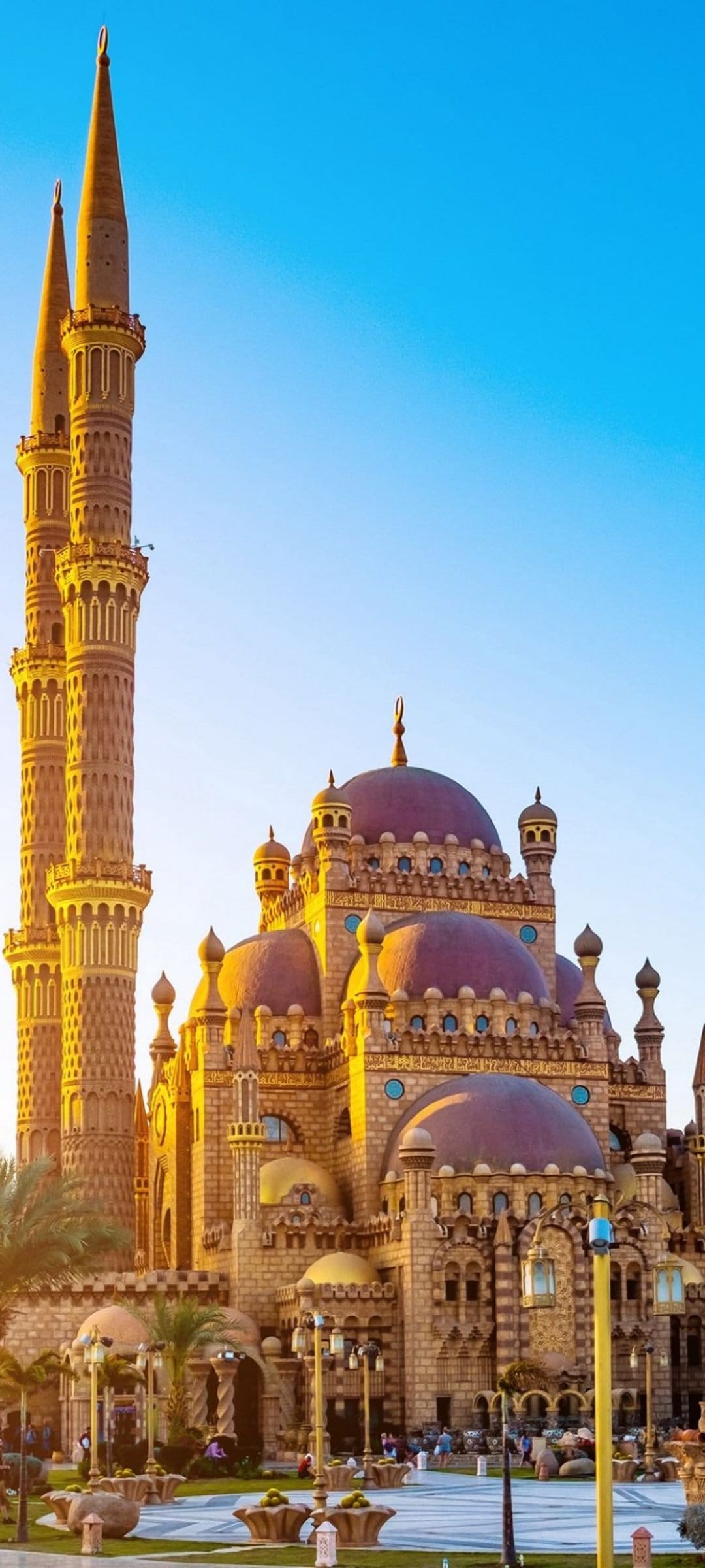 El Sahaba Mosque features intricate stone carvings, twin minarets, and golden domes under a clear blue Egyptian sky.