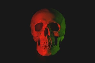 Skull,Skull  wallpaper,Skull  desktop wallpaper,bones
