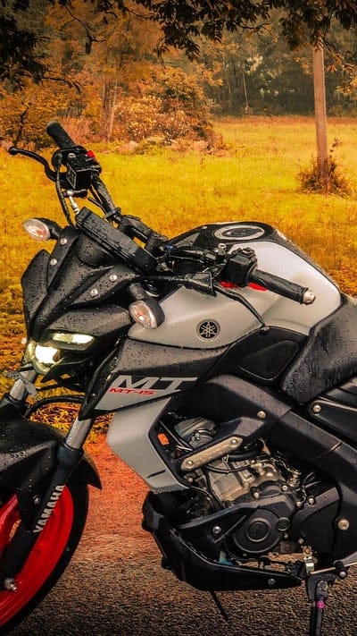 Mt 15, Yellow Grass Background, bike, yamaha, mobile wallpaper, android wallpaper, iPhone wallpaper, phone wallpaper