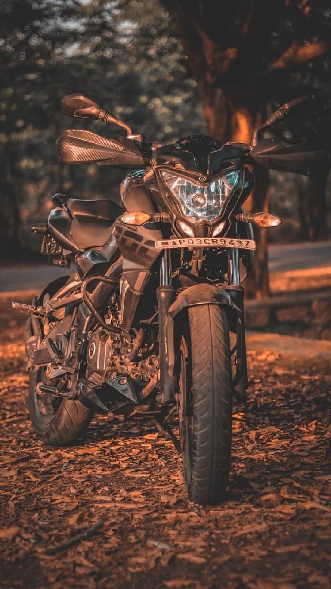 Black sport motorcycle parked on vibrant autumn leaves with moody orange lighting highlighting the front tire.