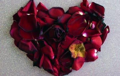 heart,free background,full hd wallpaper,beautiful wallpaper,wallpaper 4k,roses,petals,4k wallpaper,red,desktop backgrounds,flower background,wallpaper hd,flowers,windows wallpaper,love,4k wallpaper,hd wallpaper,background,beautiful flowers,declaration of 