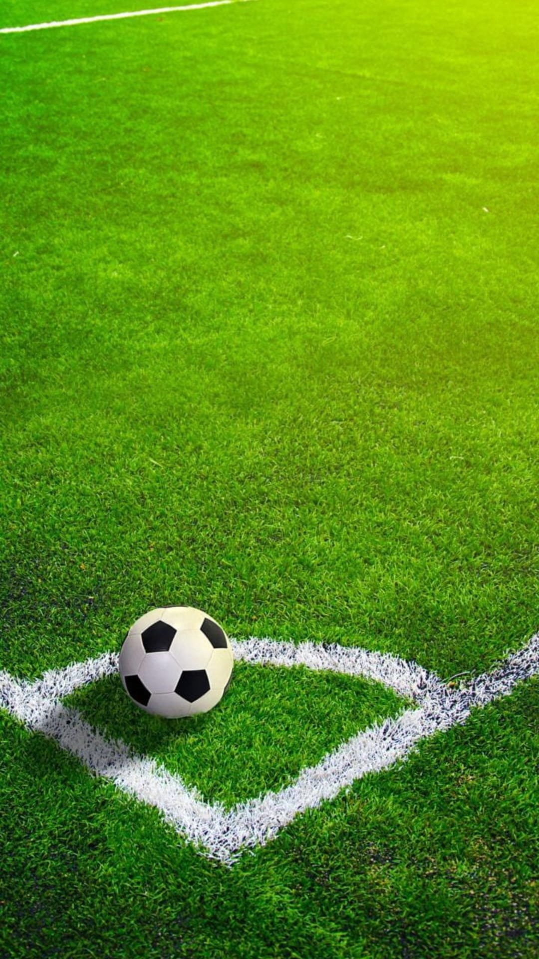 Soccer ball rests on white boundary lines of a green turf field, creating a high-contrast sports background.