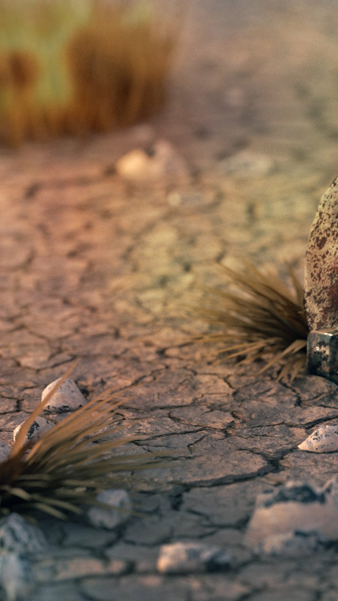 Dry mud fissures and sparse yellow grass tufts are illuminated by warm golden sunlight in a desert landscape.