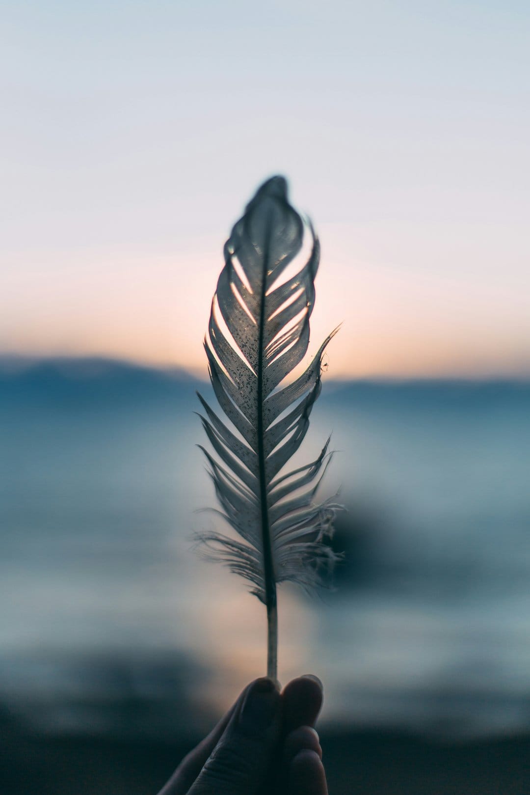 Delicate feather held against a blurry golden hour sky and water, showing fine strands and warm backlighting.