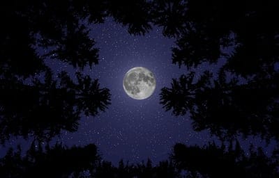 moon,desktop backgrounds,mac wallpaper,night nature,sky,free wallpaper,wallpaper hd,moonlight,4k wallpaper,beautiful,nature dark,stars,laptop wallpaper,night sky,windows wallpaper,wallpaper 4k,free background,trees,beautiful wallpaper