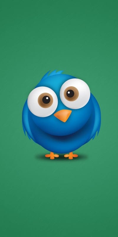 Blue Bird,animals,cartoons,funny