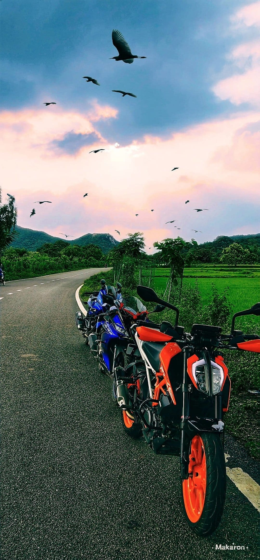 Motorcycles parked on a curved road through green fields as birds fly under a blue and pink sunset sky.