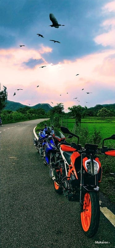 Duke 390, 220, bike, ktm, nature, pulasar, r15, v3, wallpapeer, mobile wallpaper, android wallpaper, iPhone wallpaper, phone wallpaper