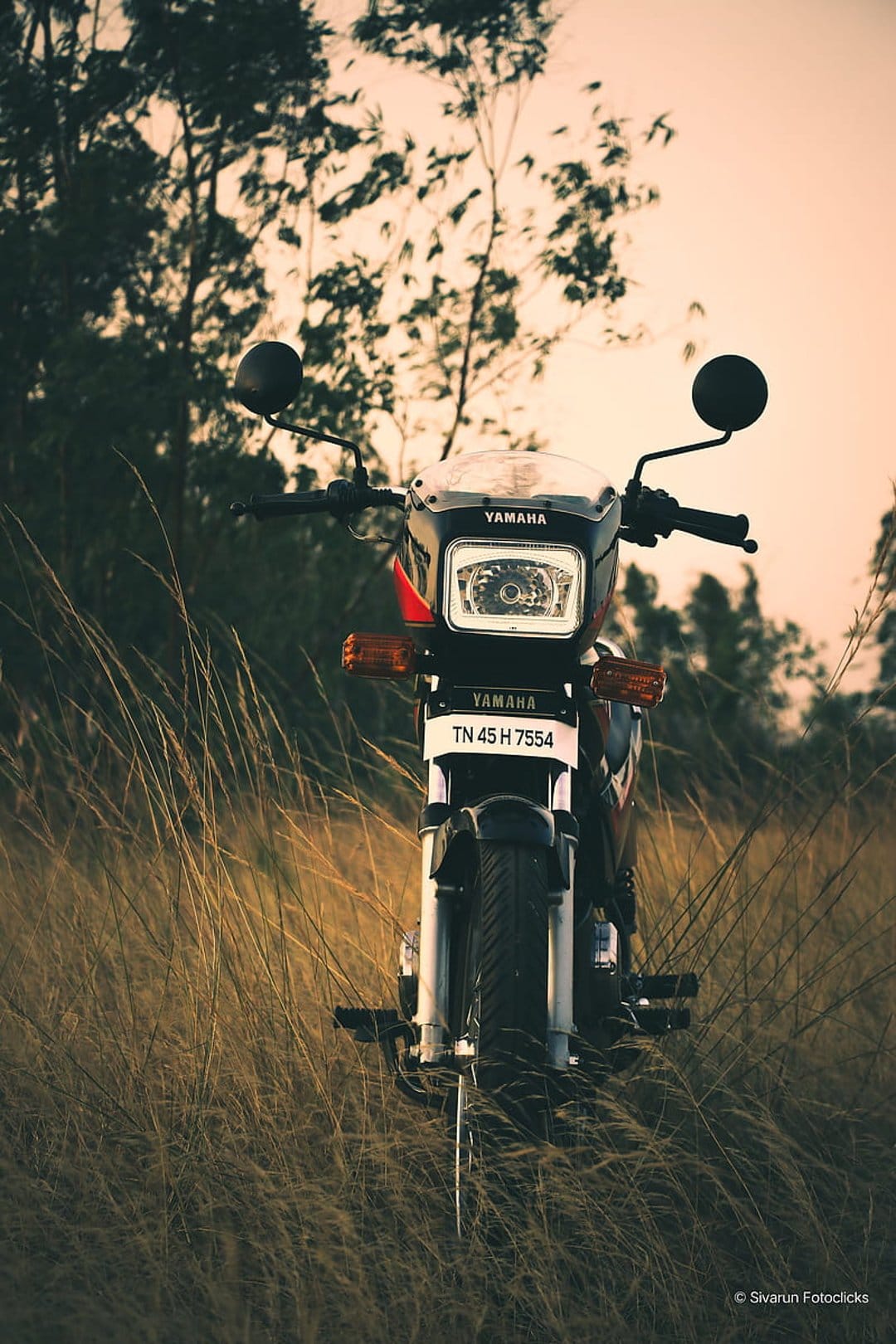 Vintage Yamaha RX 100 motorcycle parked in tall dry grass under a warm golden sunset with visible chrome details.