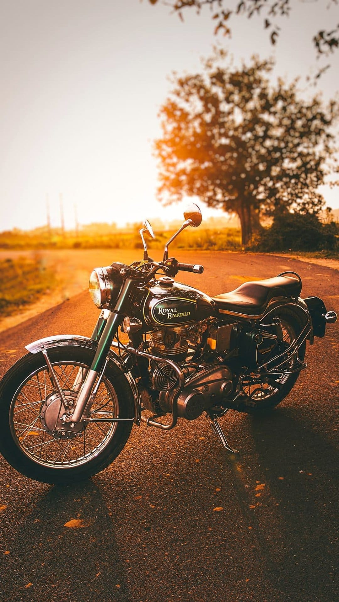 Royal Enfield motorcycle parked on a rural road at sunset with a silhouetted tree and glowing chrome details.