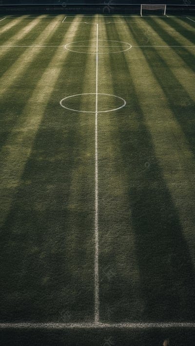 football field,liens,markings,lawn,stagium