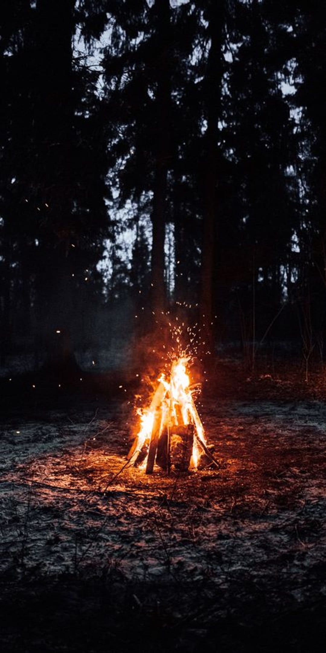 Bright orange bonfire flames with glowing embers in a dark pine forest at night under a vertical composition.