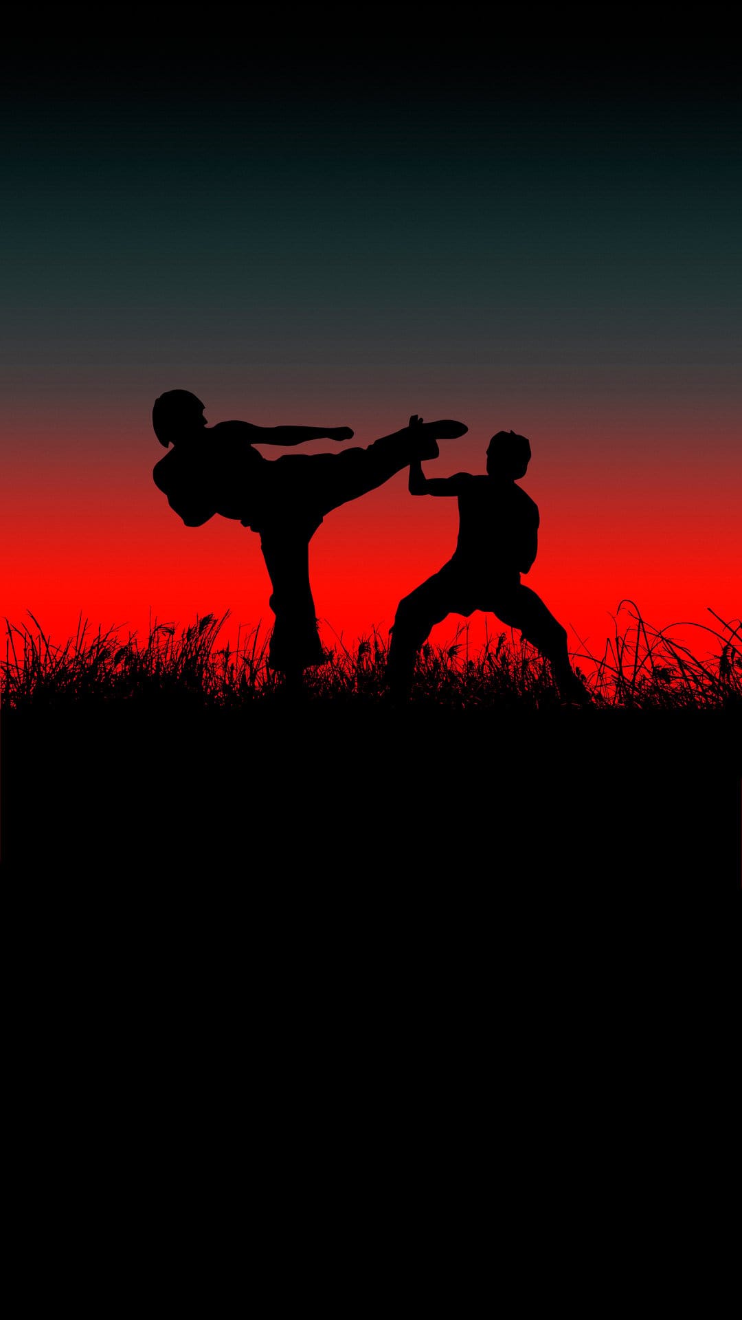Martial artist silhouettes sparring with a high kick against a red and blue sunset sky over dark grass.