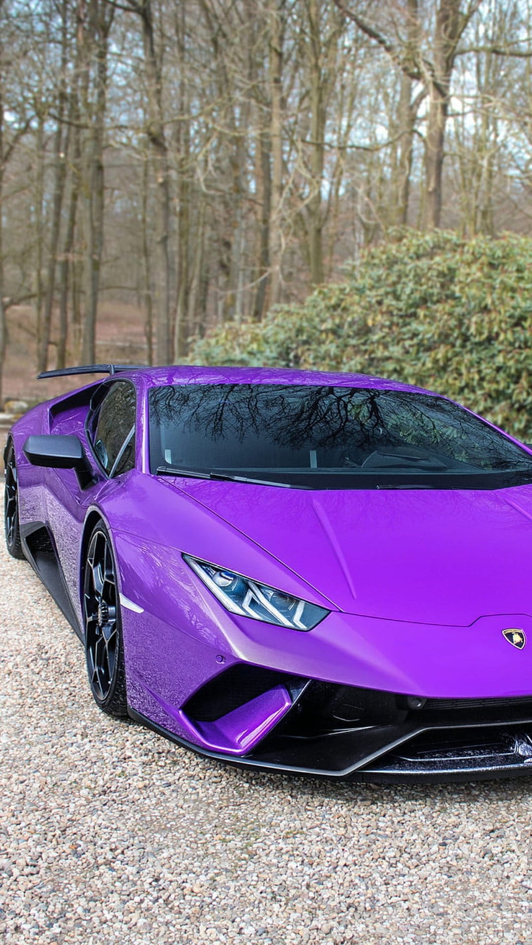 Purple Lamborghini Huracan parked on a gravel driveway with bare trees and green bushes in the background.