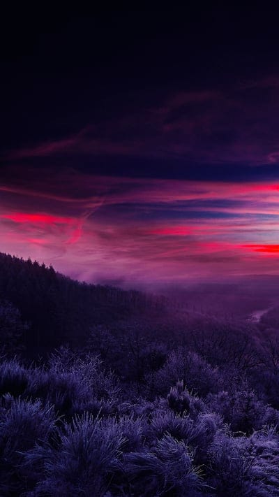 slop,bushes,fog,clouds,dusk,dark,nature