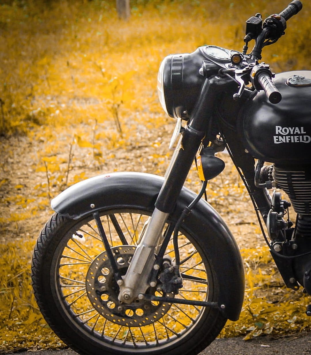 Royal Enfield motorcycle front wheel and headlight parked in a field of dry golden grass during the autumn season.