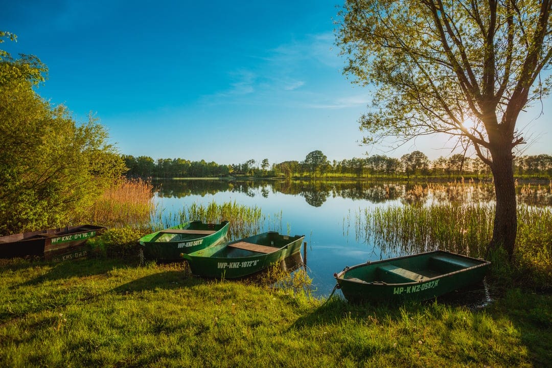 Green rowing boats moored on a grassy lake shore under a vibrant sunset with tall trees and water reflections.