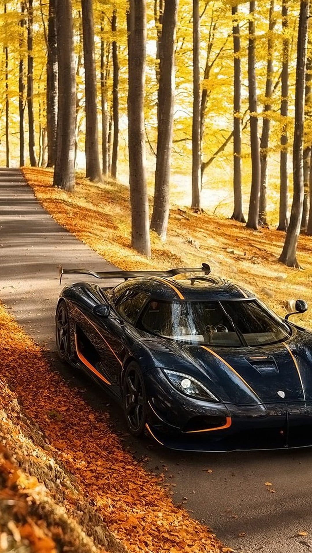 Black Koenigsegg sports car with orange accents parked on a forest road covered in fallen golden autumn leaves.