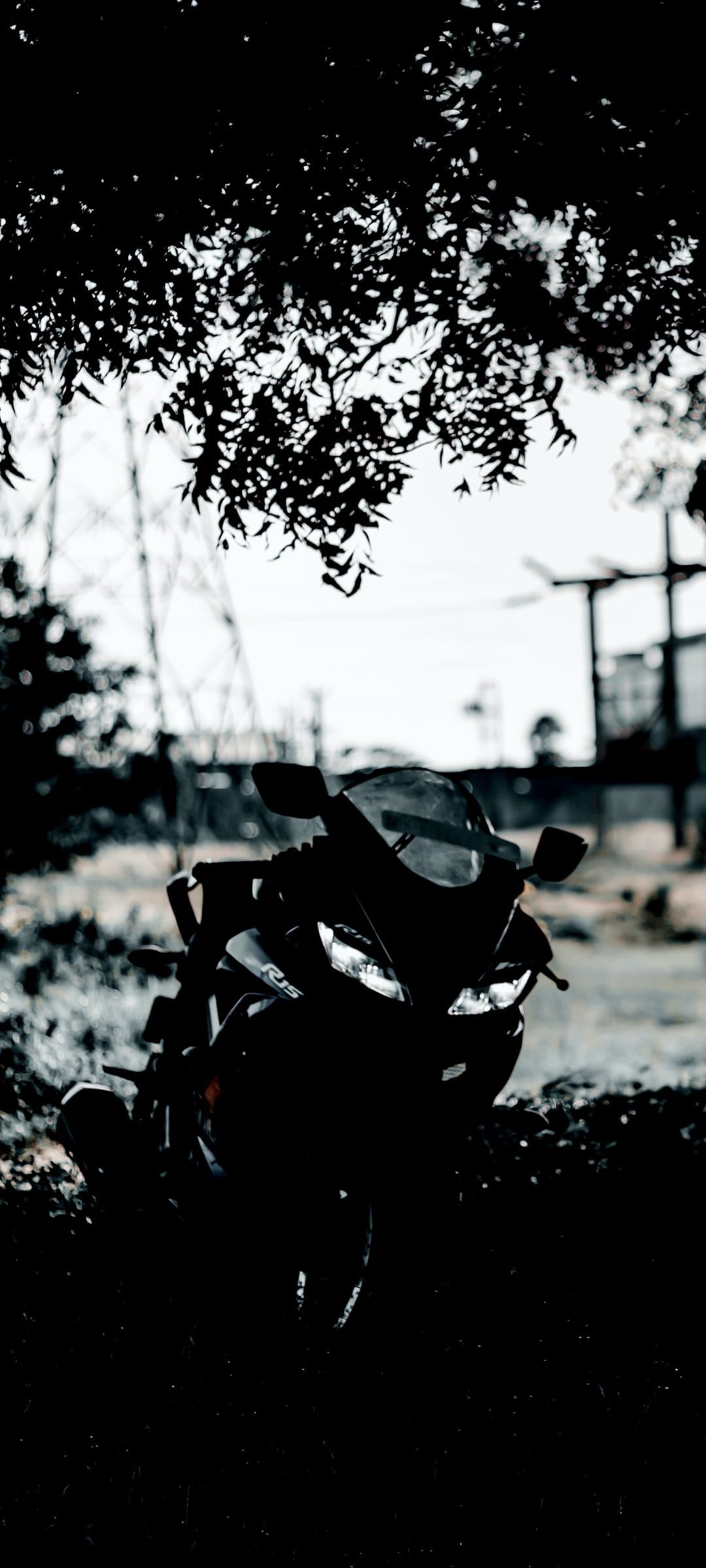 Sports motorcycle in silhouette parked under a leafy tree with glowing headlights in a black and white urban scene.