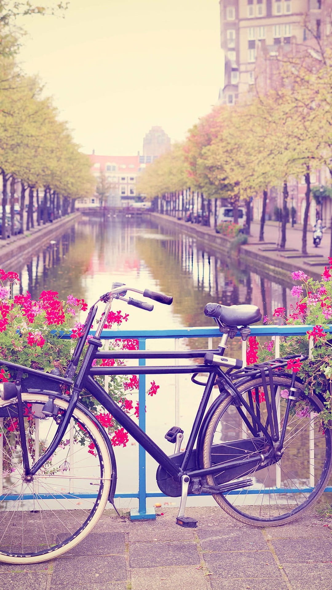 Vintage black bicycle parked on an Amsterdam bridge adorned with vibrant pink flowers overlooking a calm canal.