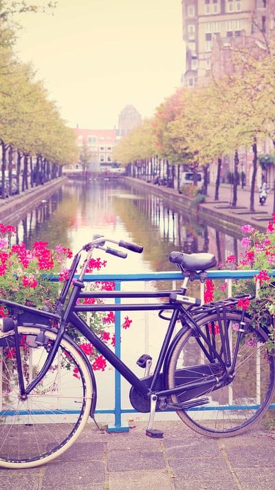 mate 8, background, bicycle, bike, cycle, cycles, downhill, fixed, mountain, travel, mobile wallpaper, android wallpaper, iPhone wallpaper, phone wallpaper
